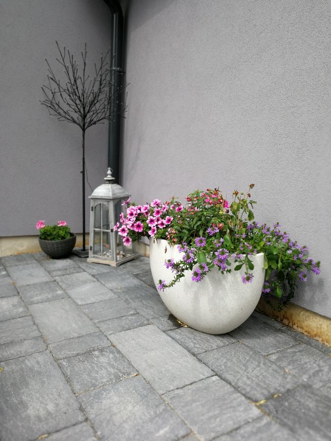 Zsinko Villa Pécs Esterno foto